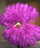 XL 2 слоя темно-фиолетовый веер из страусовых перьев 34 x 60 дюймов с дорожной кожаной сумкой.
