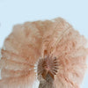 Un par de abanicos de plumas de avestruz de una sola capa de color melocotón intenso de 24&quot;x 41&quot; con bolsa de viaje de cuero.