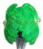 A pair emerald green Single layer Ostrich Feather fan 24"x 41" with leather travel Bag.
