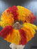 Abanico de plumas de avestruz de una sola capa con bolsa de viaje de cuero de 25 "x 45".