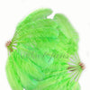 Et par fluorescerende grønt Enkeltlags Strudsfjerblæser 24 "x 41" med rejsetaske i læder.