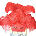 Load image into Gallery viewer, Red Ostrich Feather Open Face Headdress & backpiece Set.
