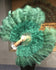 Abanico de plumas de avestruz de marabú verde bosque de 21&quot;x 38&quot; con bolsa de viaje de cuero.