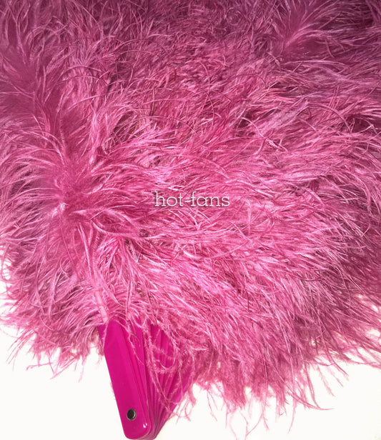 Burlesque 4 Layers fuchsia Ostrich Feather Fan Opened 67'' with Travel leather Bag.