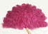 Burlesque 4 Layers fuchsia Ostrich Feather Fan Opened 67'' with Travel leather Bag.