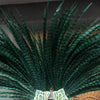 enorme Forest Green Tall Faisão Feather Fan Burlesque Perform Friend.