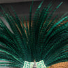 Color personalizado enormeAbanico de plumas de faisán alto Burlesque Perform Friend.