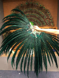 Load image into Gallery viewer, Custom color hugeTall Pheasant Feather Fan Burlesque Perform Friend.
