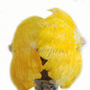 Un par de abanicos de plumas de avestruz de una capa de color amarillo dorado de 24 "x 41" con bolsa de viaje de cuero.