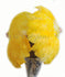 Um par amarelo ouro Ventilador de pena de avestruz de camada única 24 "x 41" com bolsa de couro para viagem.