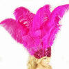 Pinkfarbener Showgirl-Kopfschmuck aus Straußenfedern mit offenem Gesicht.