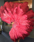 Load image into Gallery viewer, Mix coral red & Burgundy XL 2 Layer Ostrich Feather Fan 34''x 60'' with Travel leather Bag.
