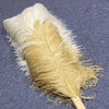 Abanico de plumas de avestruz de 3 capas de mezcla beige y trigo abierto 65 "con bolsa de viaje de cuero.