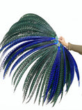 Load image into Gallery viewer, Mix color green & blue huge Tall Pheasant Feather Fan Burlesque Perform Friend.
