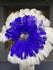 Misture Royal Blue & white XL 2 camadas de avestruz Feather Fan 34 '' x 60 '' com bolsa de couro de viagem.