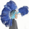 Un par de abanicos de plumas de avestruz de una sola capa azul marino de 24&quot;x 41&quot; con bolsa de viaje de cuero.