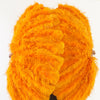 Abanico burlesco de plumas de avestruz naranja de 4 capas abierto 67&#39;&#39; con bolsa de viaje de cuero.