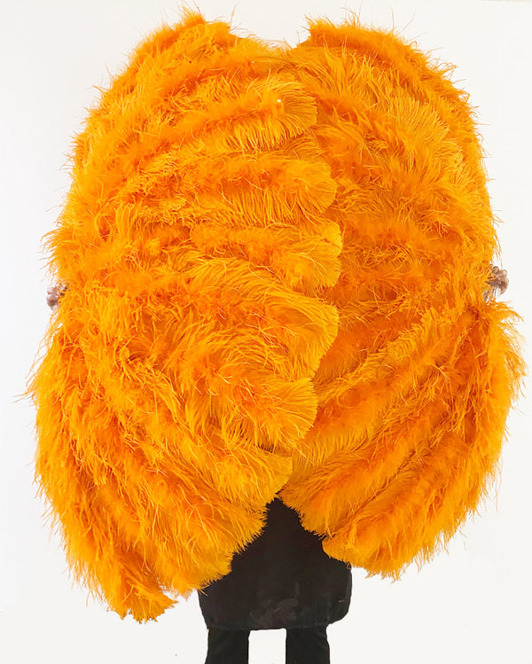 Abanico burlesco de plumas de avestruz naranja de 4 capas abierto 67&#39;&#39; con bolsa de viaje de cuero.