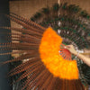 Abanico naranja de plumas de marabú y faisán de 29 "x 53" con bolsa de viaje de cuero.