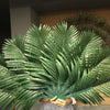 palm leaf fan.