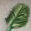 abanico de hojas de palma.