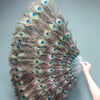 Double faced peacock feather fan with Travel leather Bag.