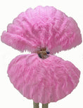 Load image into Gallery viewer, Pink 3 Layers Ostrich Feather Fan Opened 65" with Travel leather Bag.
