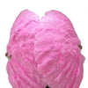 Abanico rosa de plumas de avestruz de 3 capas abierto 65&quot; con bolsa de viaje de cuero.