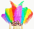 Load image into Gallery viewer, Rainbow Ostrich Feather Open Face Headdress & backpiece Set.
