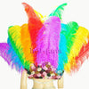 Rainbow Ostrich Feather Open Face Headdress & Backpiece Set.