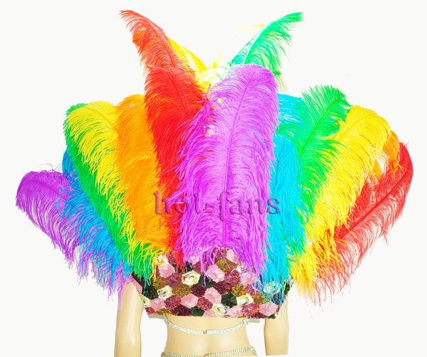 Rainbow Ostrich Feather Open Face Headdress & backpiece Set.
