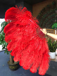 Load image into Gallery viewer, XL 2 Layers red Ostrich Feather Fan 34''x 60'' with Travel leather Bag.
