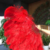 Abanico XL de plumas de avestruz rojo de 2 capas de 34&#39;&#39;x 60&#39;&#39; con bolsa de viaje de cuero.