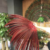 Red Luxury 71" Tall huge Pheasant Feather Fan with Travel leather Bag.