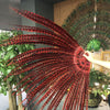 Grande ventaglio di piume di fagiano alto 71 "di lusso rosso con borsa da viaggio in pelle.