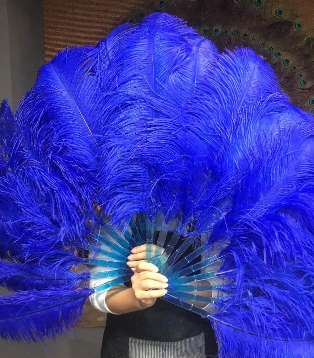 A pair Royal blue Single layer Ostrich Feather fan 24"x 41" with leather travel Bag.