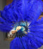 A pair Royal blue Single layer Ostrich Feather fan 24"x 41" with leather travel Bag.