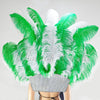 Grün-weißes Straußenfeder-Kopfschmuck- und Rückenteil-Set mit offenem Gesicht.