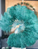 Abanico de plumas de avestruz de una sola capa verde azulado con bolsa de viaje de cuero de 25 "x 45".