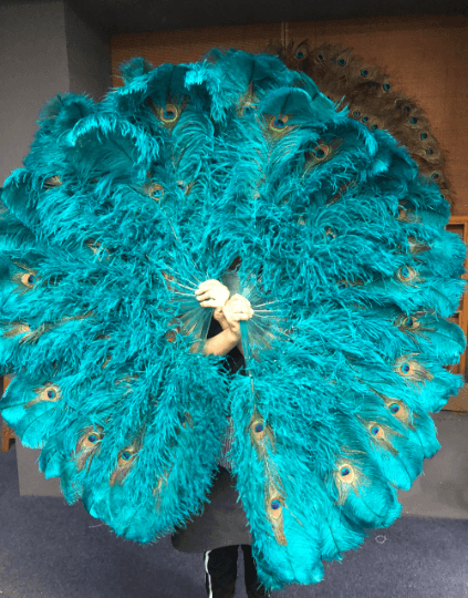 Peacock and ostrich feathers deals