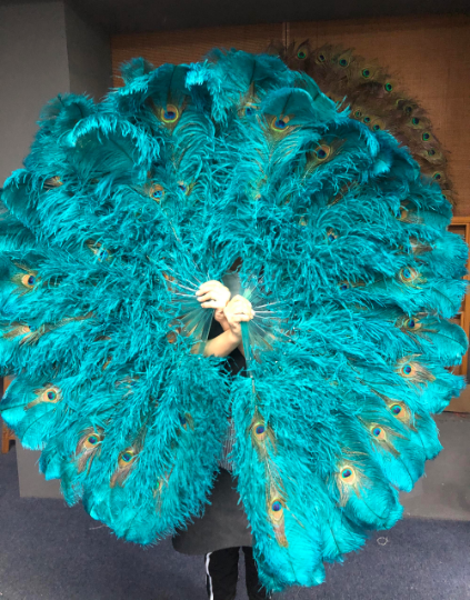 Teal Double side ostrich Feather Fan with Peacock Feathers opened 180 degree 25"x 60".