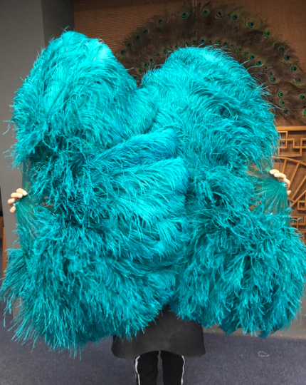 Teal Double side ostrich Feather Fan with Peacock Feathers opened 180 degree 25"x 60".