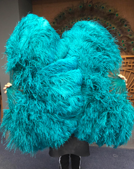 Teal Double side ostrich Feather Fan with Peacock Feathers opened 180 degree 25