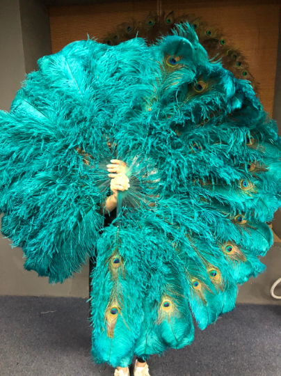 Teal Double side ostrich Feather Fan with Peacock Feathers opened 180 degree 25"x 60".