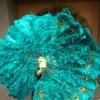 Abanico de plumas de avestruz de doble cara verde azulado con plumas de pavo real abierto 180 grados 25 "x 60".