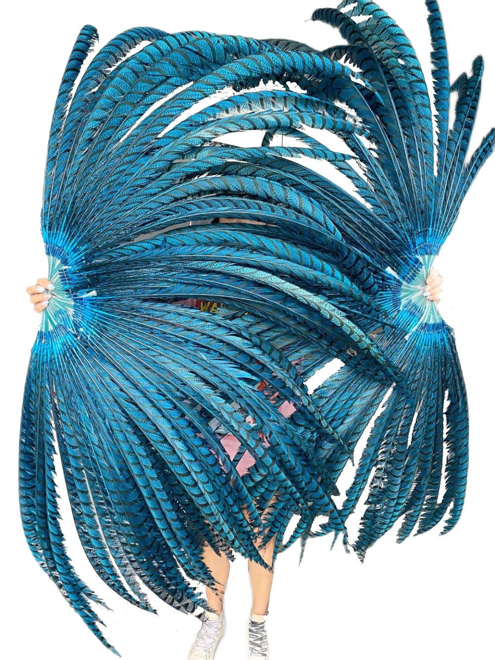 huge Teal Tall Pheasant Feather Fan Burlesque Perform Friend.