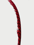 Load image into Gallery viewer, Custom color hugeTall Pheasant Feather Fan Burlesque Perform Friend.
