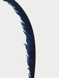 Load image into Gallery viewer, Custom color hugeTall Pheasant Feather Fan Burlesque Perform Friend.
