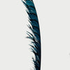 Custom color hugeTall Pheasant Feather Fan Burlesque Perform Friend.