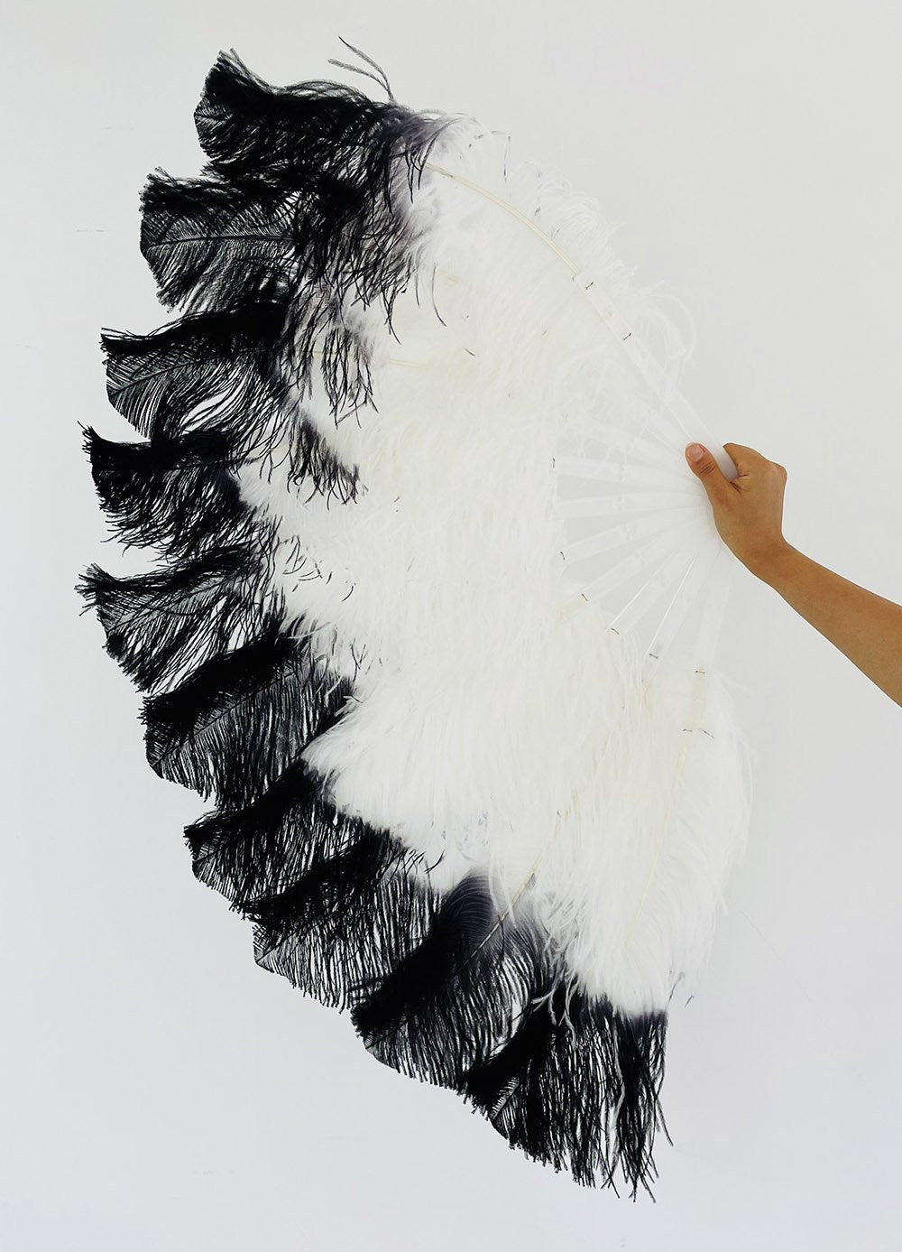 A pair white tips dye black Single layer Ostrich Feather fan 24"x 41" with leather travel Bag.